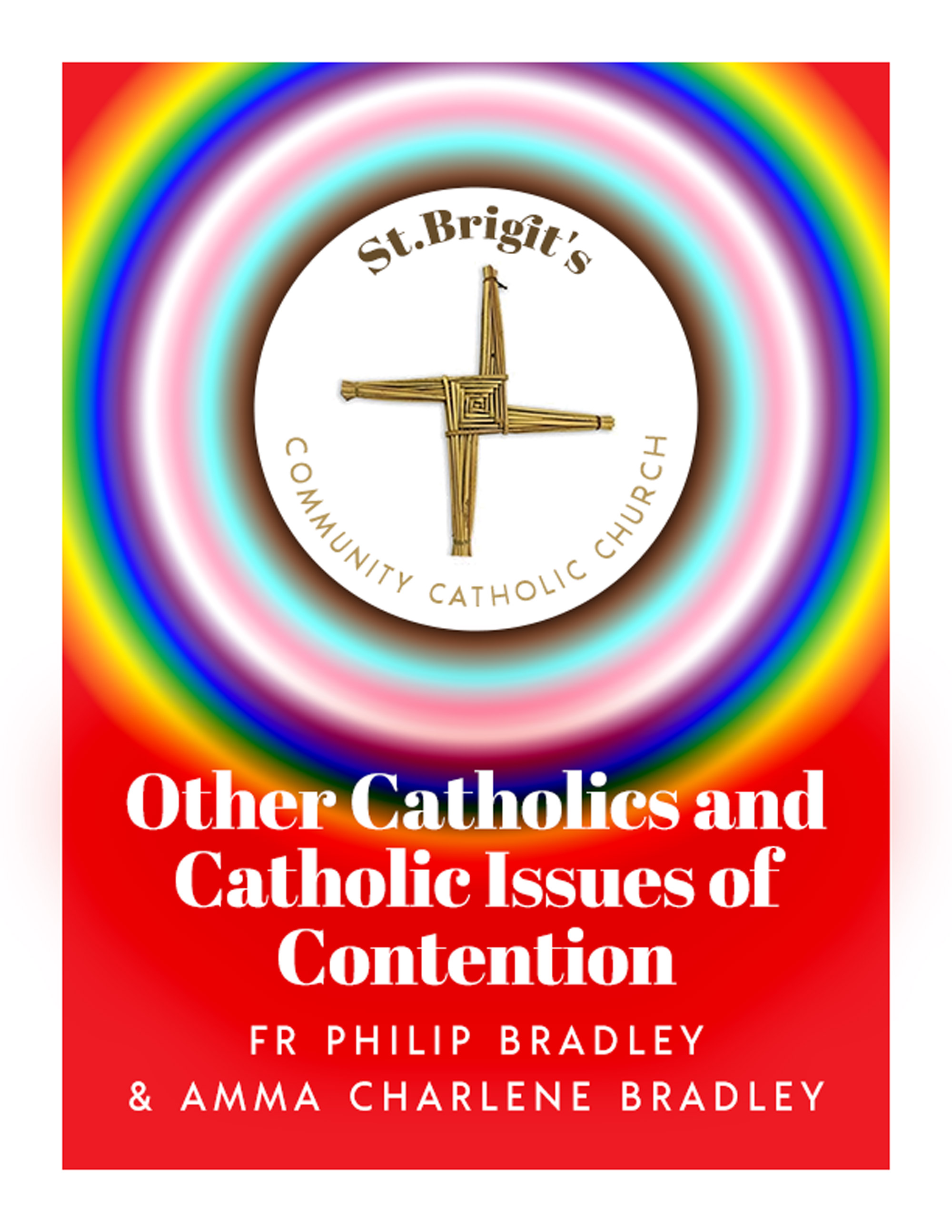 EBOOK COVER OTHER CATHOLICS AND CATHOLIC ISSUES OF CONTENTION EBOOK COVER OTHER CATHOLICS AND CATHOLIC ISSUES OF CONTENTION
